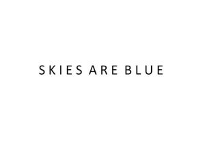 skies are blue logo