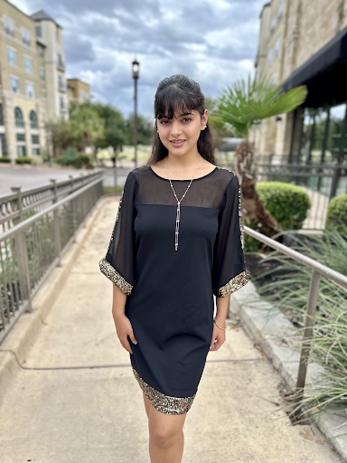 black apricot shift dress with sequin stripe down the sleeves at san antonio clothing boutique store